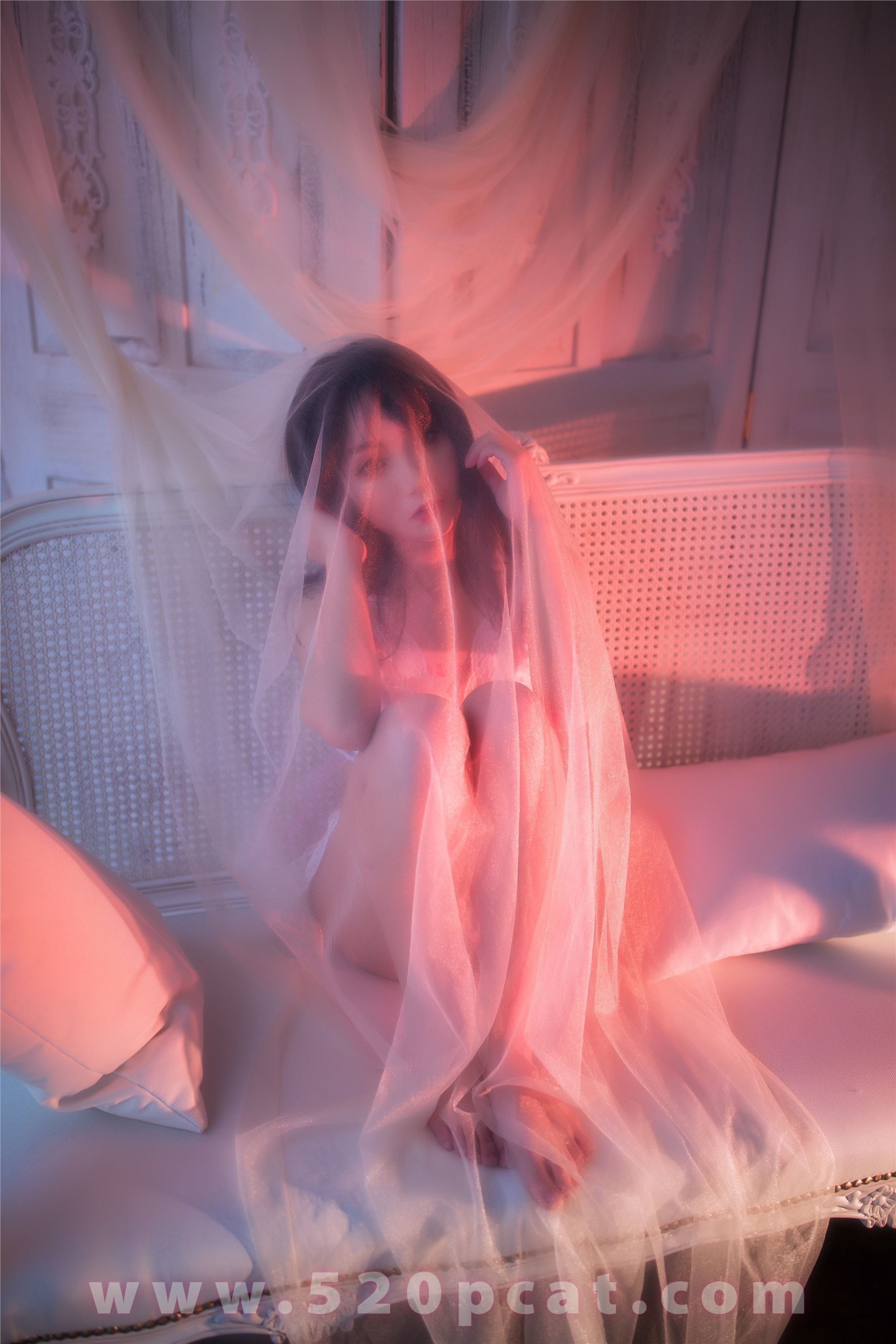 PDL潘多拉  2019.12.09 精品 NO.210